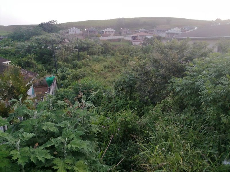 An elevated view of a vacant residential plot featuring dense, overgrown vegetation and surrounding neighborhood housing.