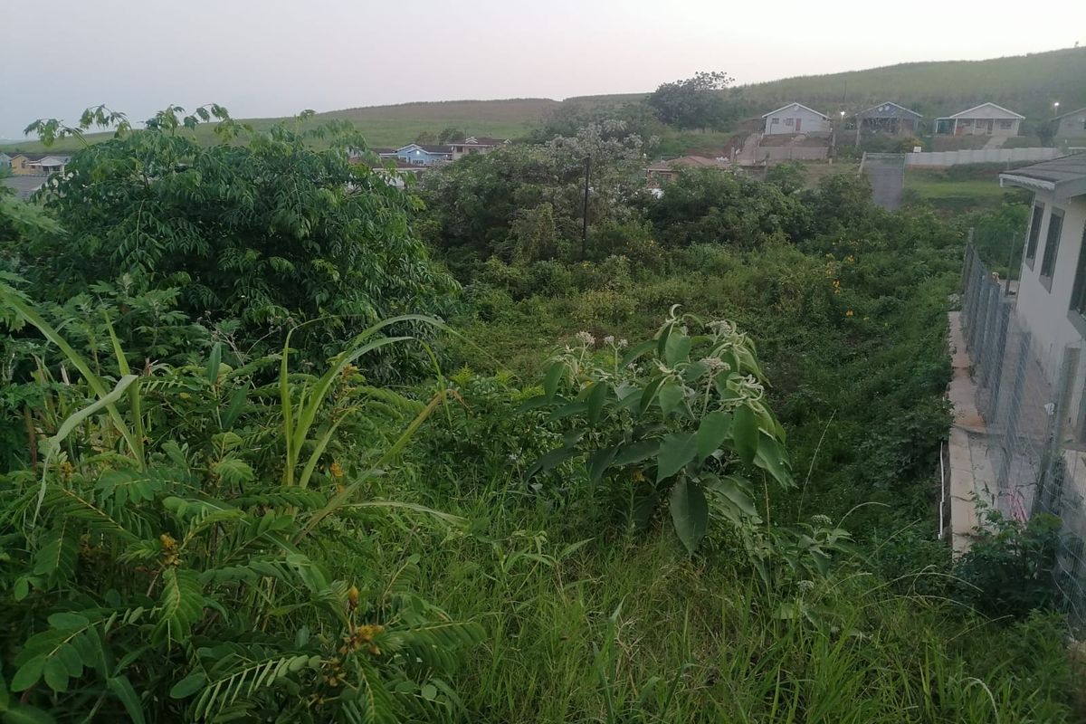 An elevated view of the residential land plot featuring dense natural vegetation and surrounding neighborhood housing.