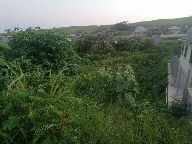 An elevated view of the residential land plot featuring dense natural vegetation and surrounding neighborhood housing.