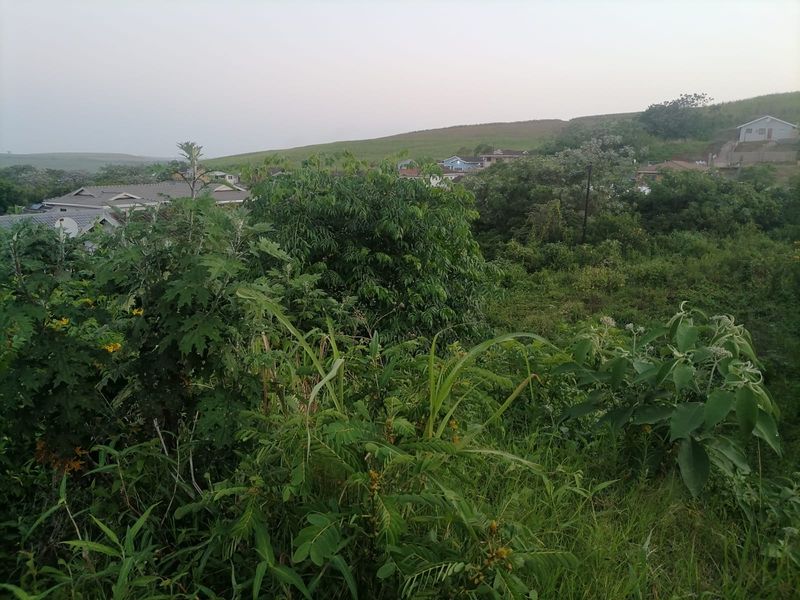 A view of the surrounding residential landscape and natural vegetation from the vacant land plot.