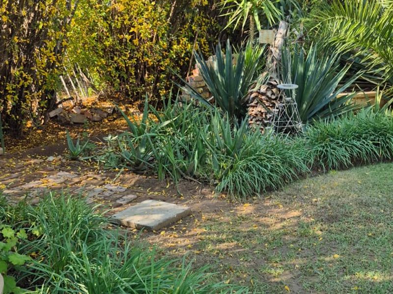 your own green escape - Photo 6