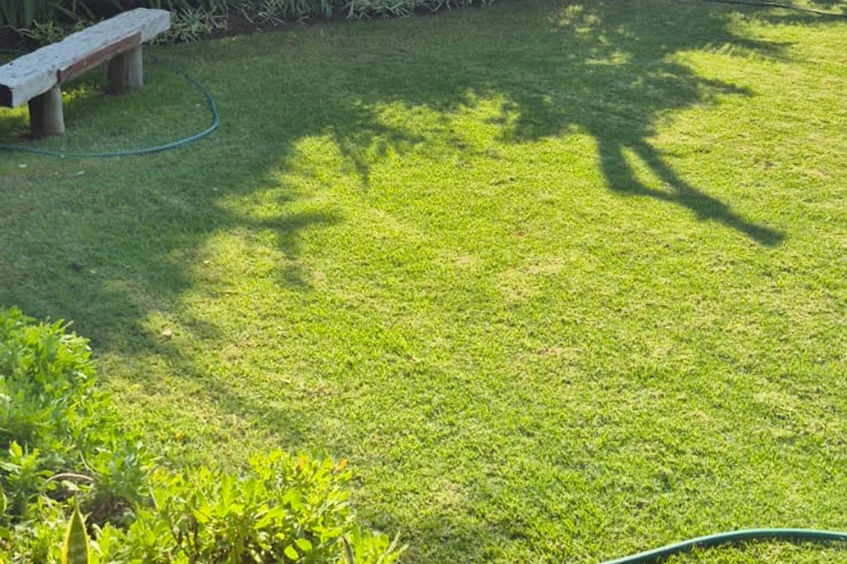 your own green escape - Photo 5