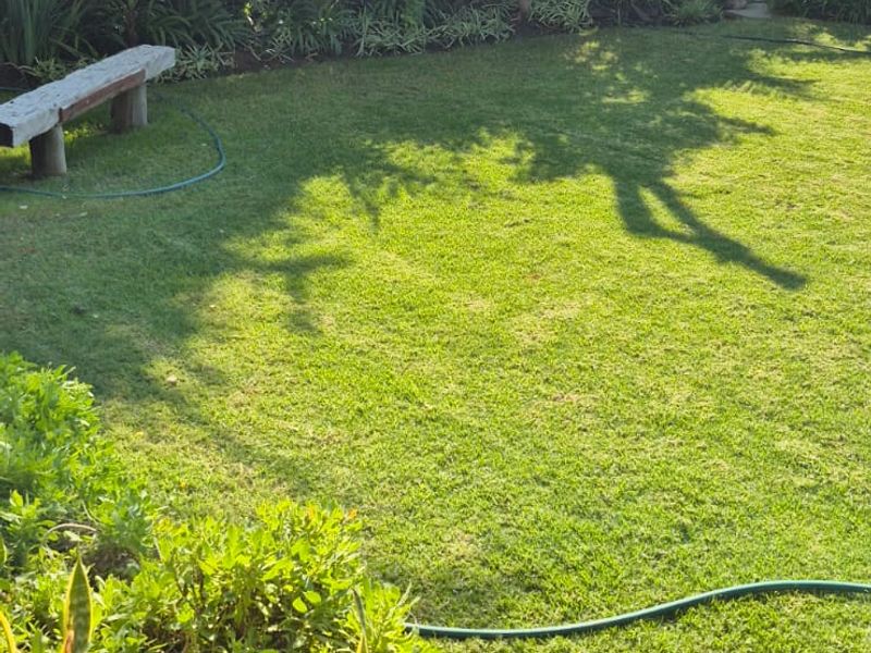 your own green escape - Photo 5