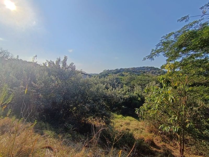 Build your dream home today! - Photo 8