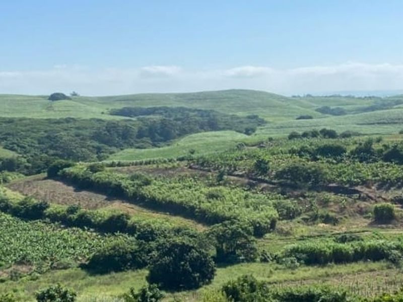 30 ACRES OF PRIME LAND IN SEATIDES, GENAZZANO FOR SALE - Photo 1