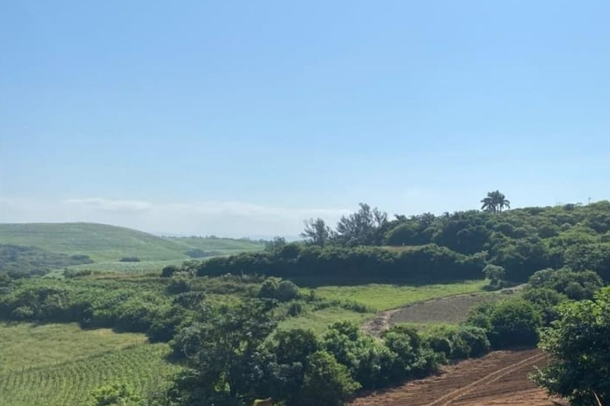 A scenic view of the vacant residential land featuring rolling hills, natural vegetation, and cleared sections of the property.