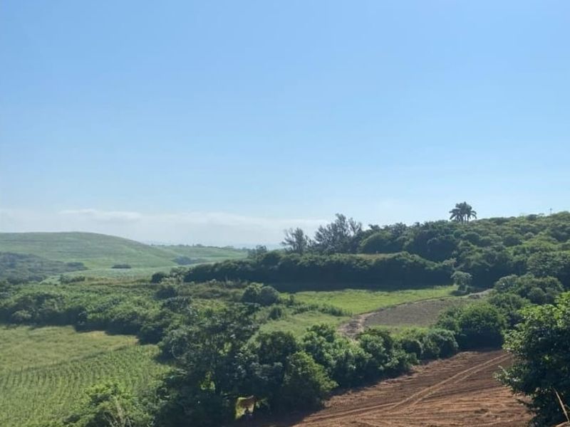30 ACRES OF PRIME LAND IN SEATIDES, GENAZZANO FOR SALE - Photo 4