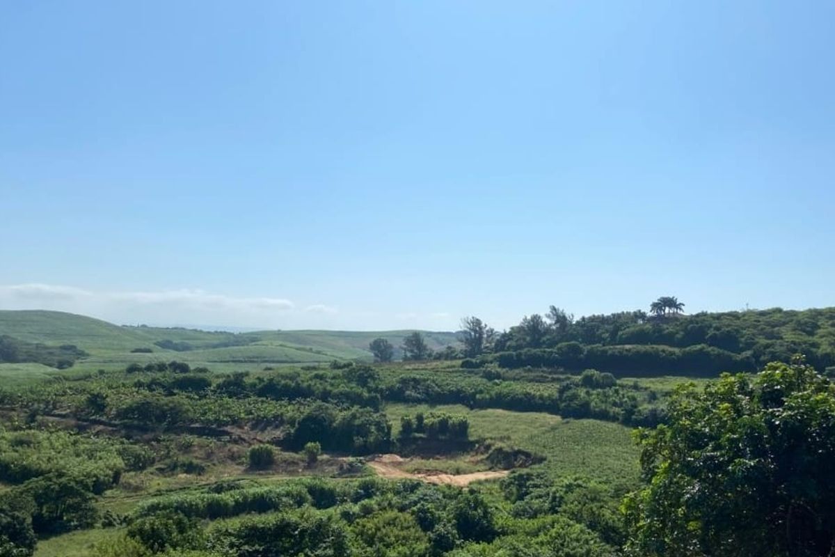 A scenic, elevated view of the surrounding lush green landscape and rolling hills, showcasing the natural beauty of the vacant land.