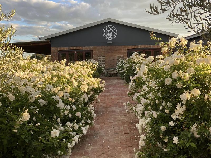A charming rear view of the property featuring a brick pathway leading to a well-maintained building with an exposed brick facade and covered patio.