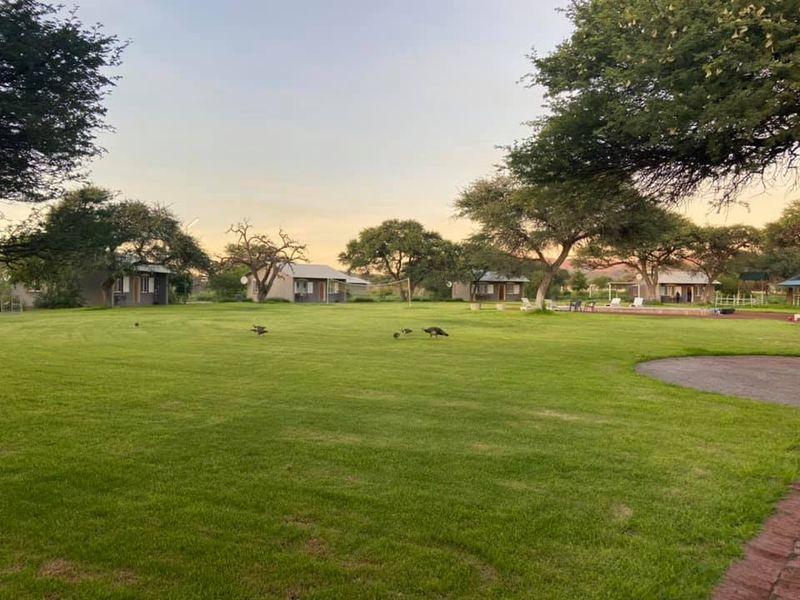 A spacious, well-maintained garden area featuring expansive green lawns, mature trees, and several detached residential units in a peaceful small holding setting.