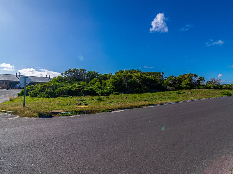 A street-level view of the vacant residential plot featuring established coastal vegetation, asphalt road frontage, and existing kerbing infrastructure.