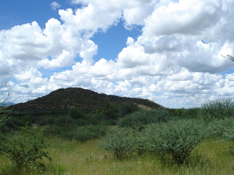 A scenic view of the natural landscape featuring rolling hills and indigenous vegetation under a bright, cloudy sky.
