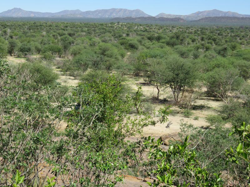 Expansive elevated view of the natural bushveld landscape and distant mountain range, showcasing the scenic surroundings of the small holding.