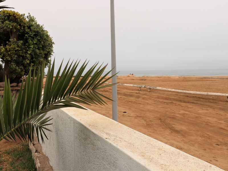 A view overlooking a sandy beach area with a retaining wall and palm tree in the foreground.