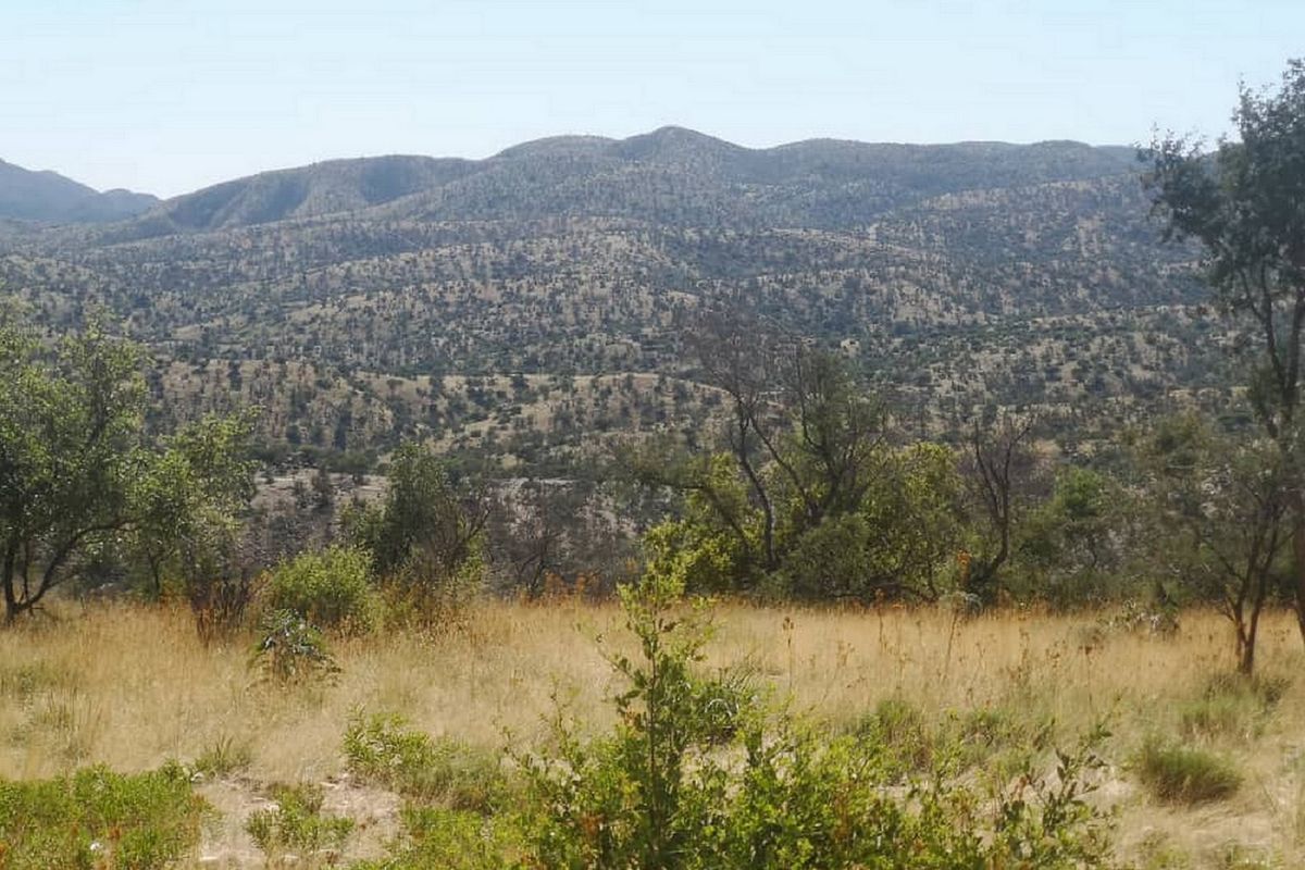 PLOTS FOR SALE - KLEIN AUB ESTATE - WINDHOEK - Photo 3