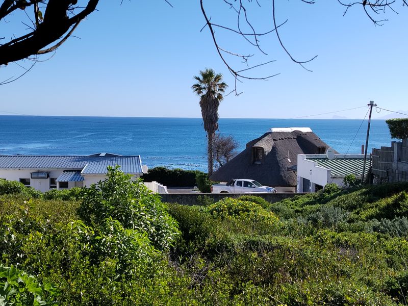 A scenic elevated view overlooking the coastline, featuring lush coastal vegetation and distant ocean horizon.