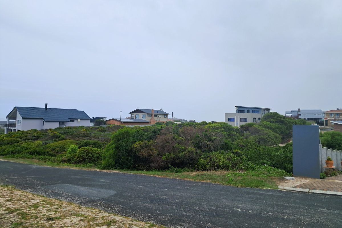A street-level view of a residential area featuring an asphalt road and surrounding native coastal vegetation with neighboring houses in the background.