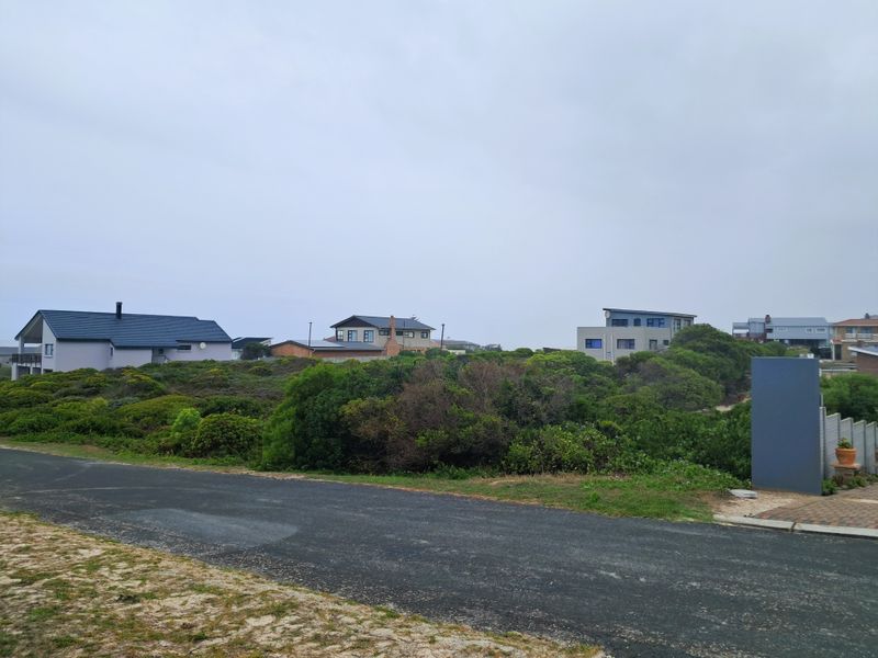 A street-level view of a residential area featuring an asphalt road and surrounding native coastal vegetation with neighboring houses in the background.