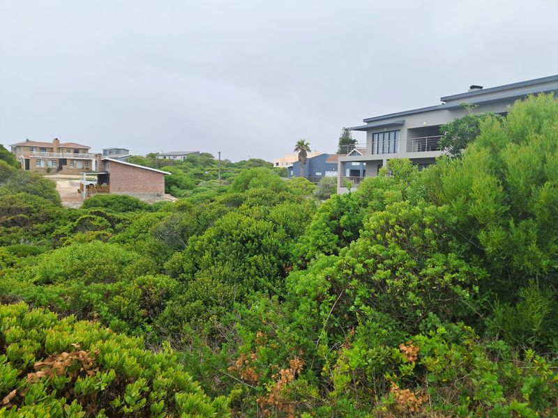 A view of the surrounding residential neighborhood and natural coastal vegetation, showcasing the property's location within the estate.