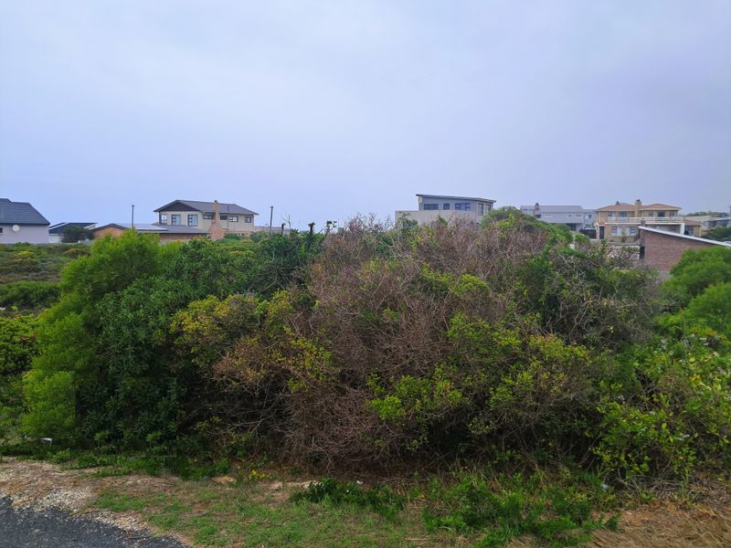 A view of a vacant residential plot featuring native coastal vegetation with established residential properties visible in the background.