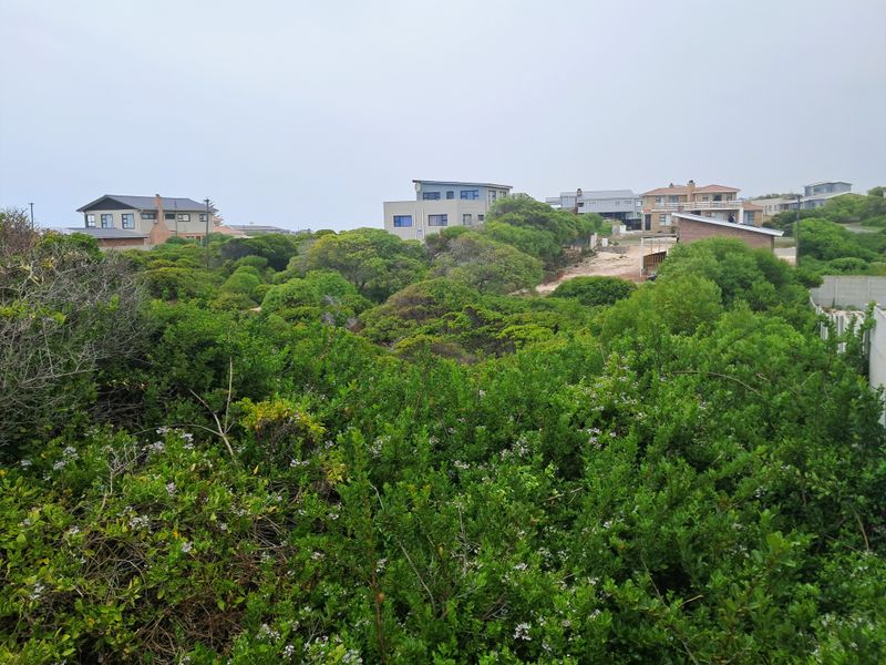 A view overlooking a residential area with dense native coastal vegetation and surrounding homes.