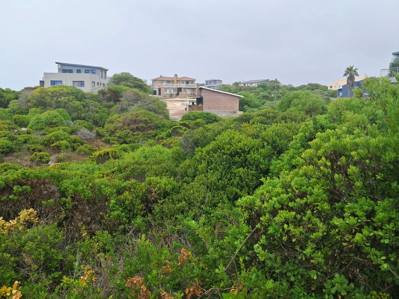 A view of the surrounding residential neighborhood and dense native vegetation, showcasing the natural landscape and nearby properties.