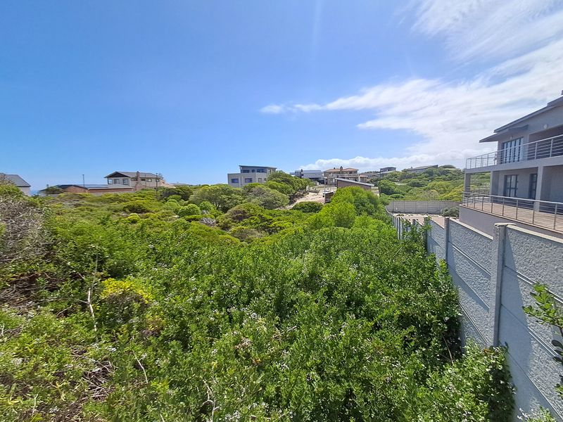 An elevated view overlooking a residential area with dense coastal vegetation and a precast concrete boundary wall.