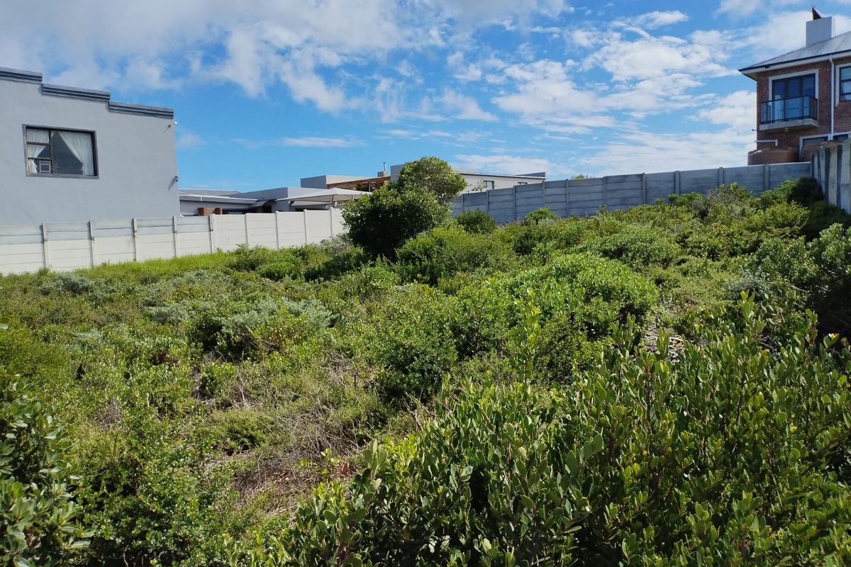 A vacant residential plot featuring dense natural vegetation and enclosed by precast concrete boundary walls, offering a blank canvas for development.