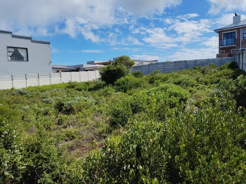 A vacant residential plot featuring dense natural vegetation and enclosed by precast concrete boundary walls, offering a blank canvas for development.