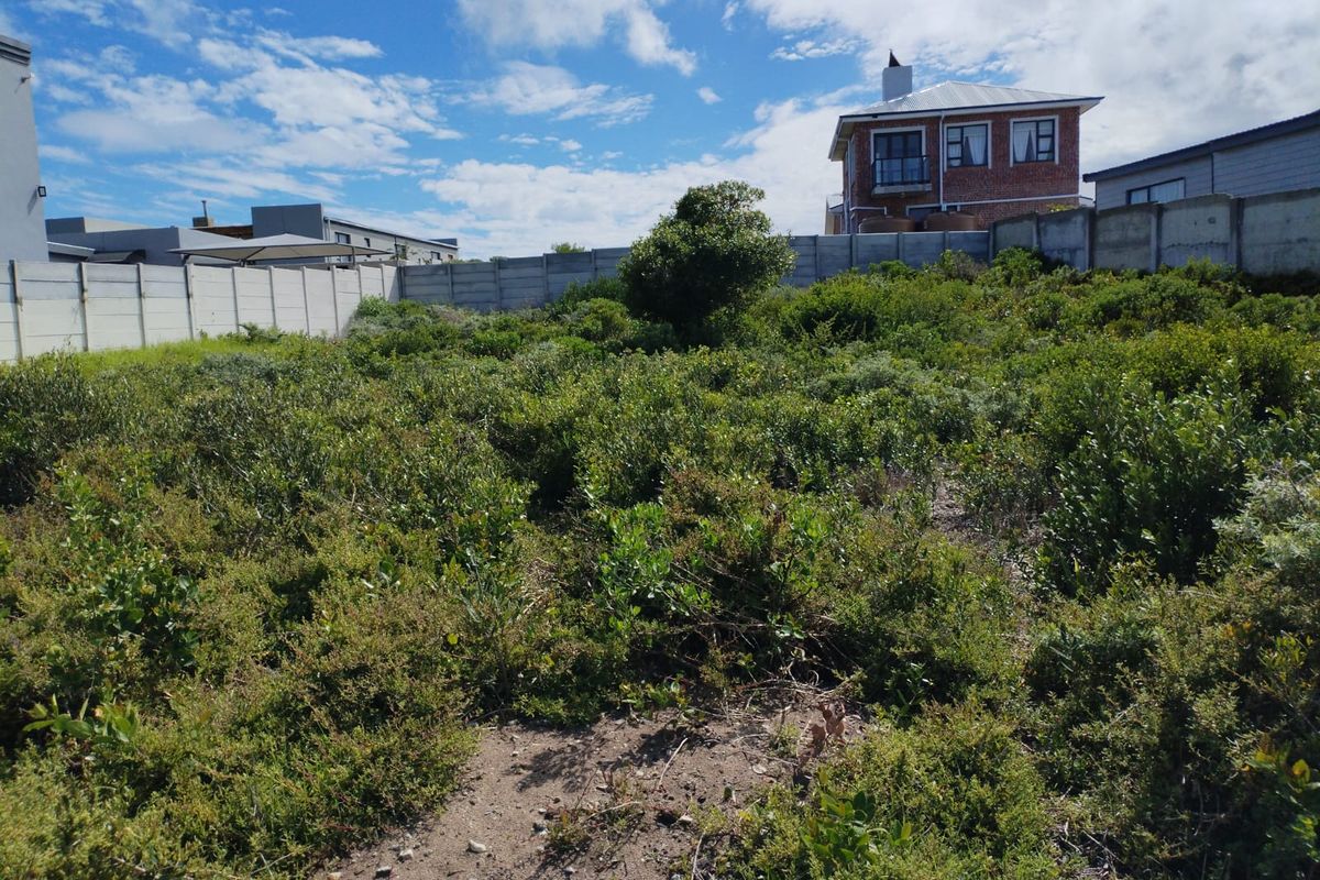 A vacant residential plot featuring natural vegetation and enclosed by a precast concrete boundary wall in a developed neighborhood.