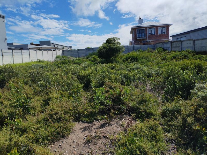 A vacant residential plot featuring natural vegetation and enclosed by a precast concrete boundary wall in a developed neighborhood.