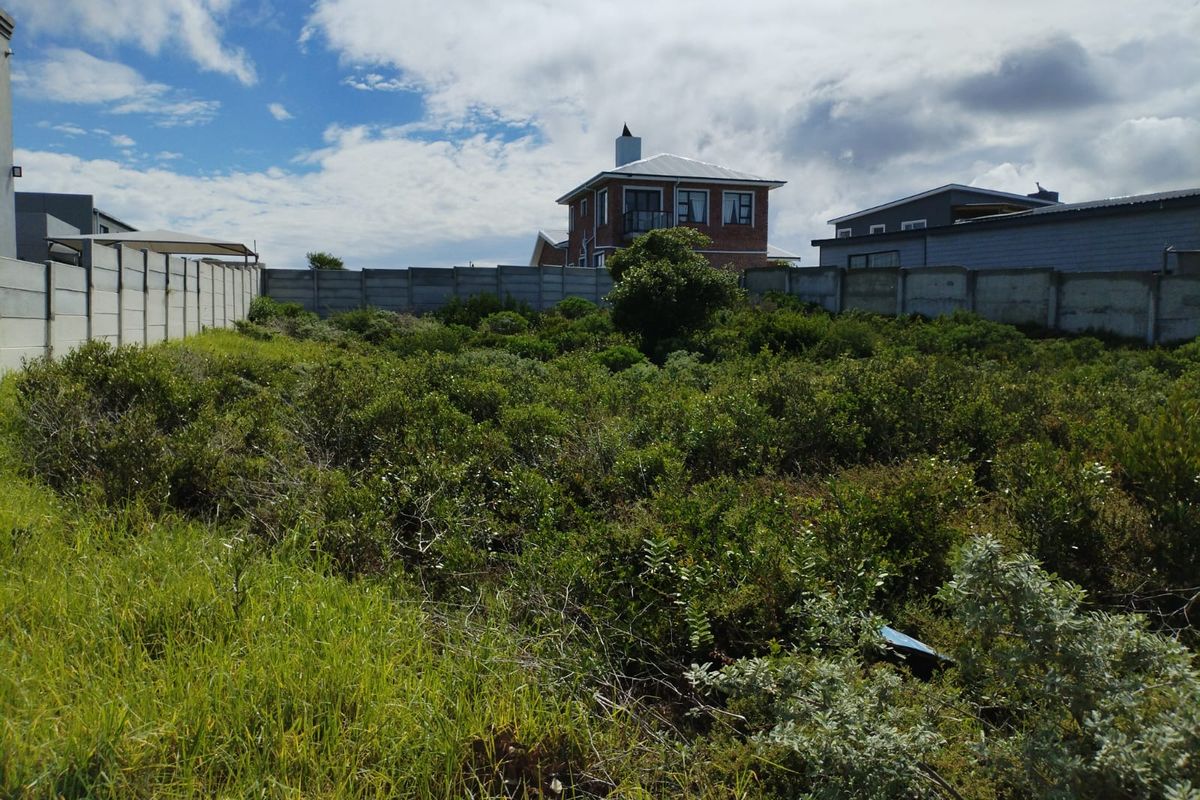 A vacant residential plot featuring natural vegetation and enclosed by precast concrete boundary walls, offering a blank canvas for development.