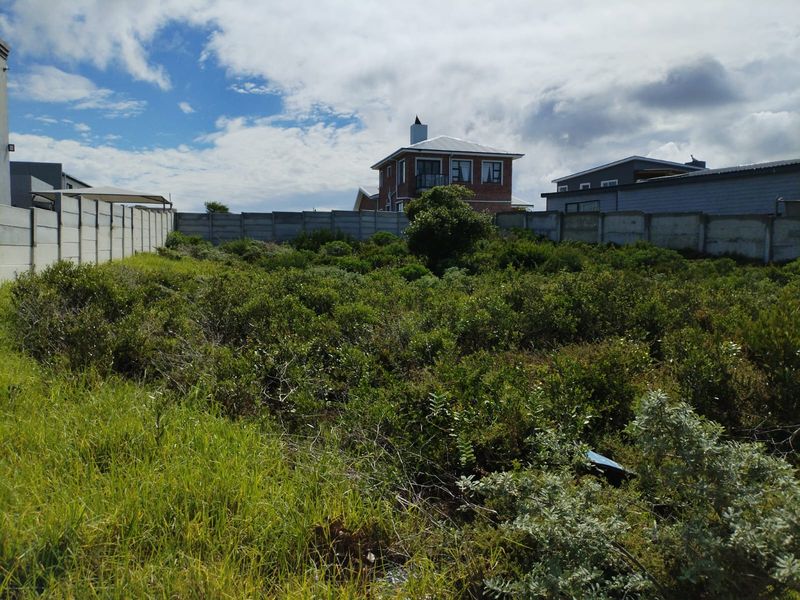 A vacant residential plot featuring natural vegetation and enclosed by precast concrete boundary walls, offering a blank canvas for development.