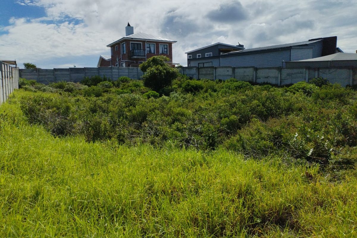 A vacant residential plot featuring natural vegetation and enclosed by precast concrete boundary walls, situated in a developed neighborhood.