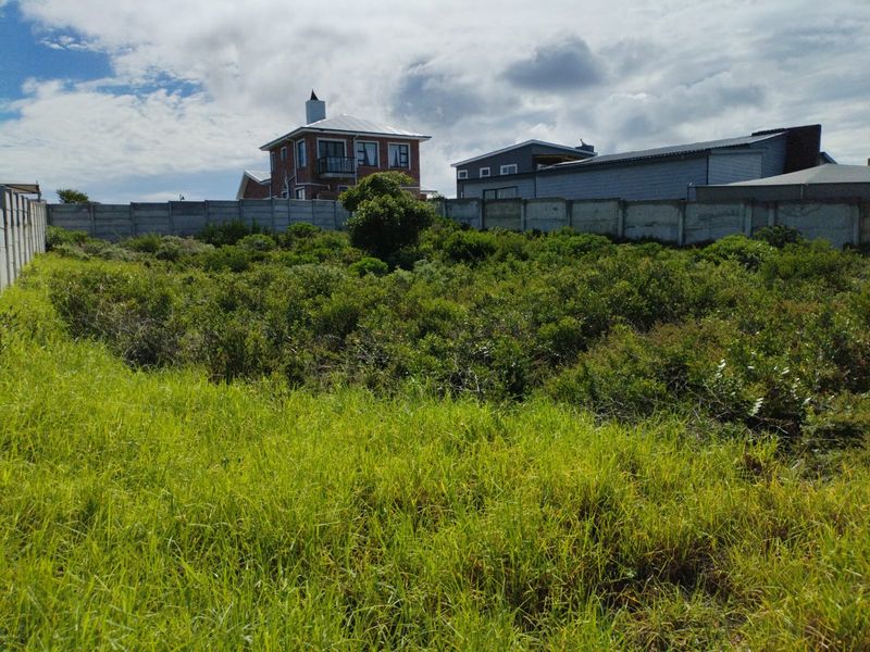 A vacant residential plot featuring natural vegetation and enclosed by precast concrete boundary walls, situated in a developed neighborhood.