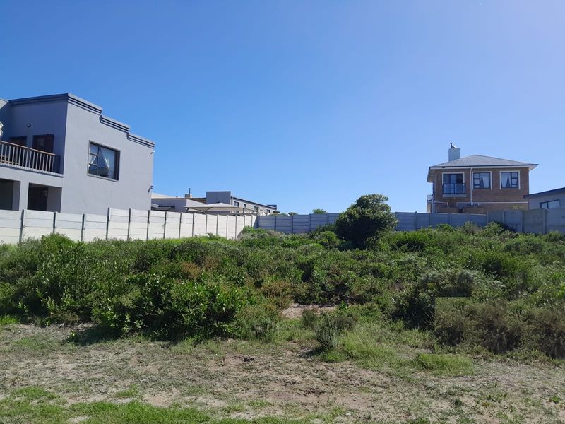 A vacant residential plot featuring natural vegetation and enclosed by precast concrete boundary walls, situated in a developed neighborhood.
