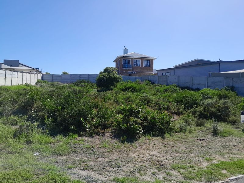 A vacant residential plot featuring natural vegetation and enclosed by precast concrete boundary walls, offering a blank canvas for development.