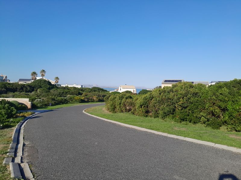 A view of the paved residential street and surrounding landscaped verge within the estate.
