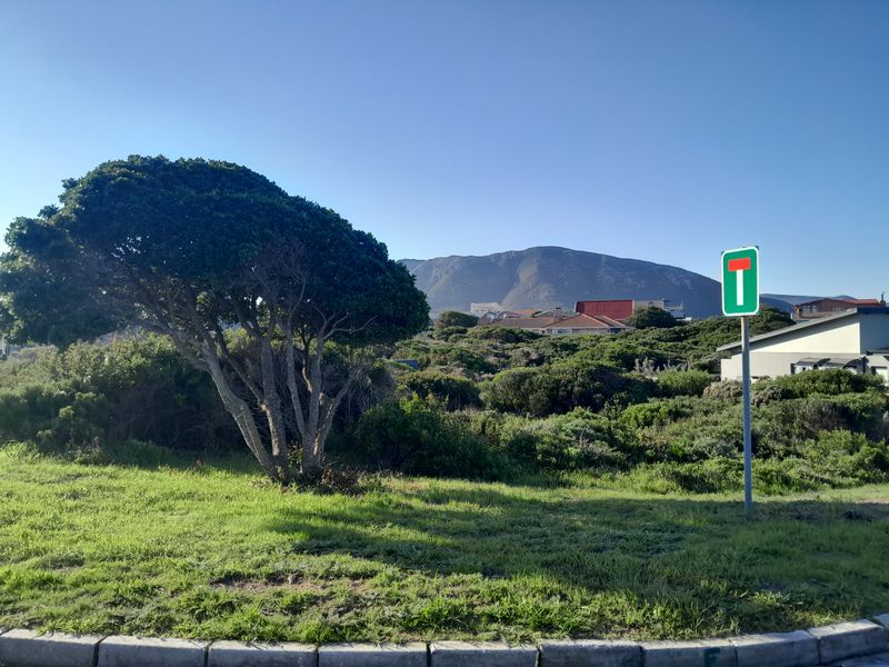 A view of the vacant residential land featuring natural vegetation, kerbing, and a dead-end street sign with mountain views in the background.