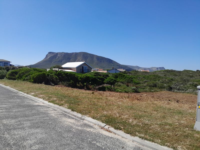 A street-level view of a vacant residential plot featuring native coastal vegetation, adjacent to an asphalt road with concrete curbing and mountain views.