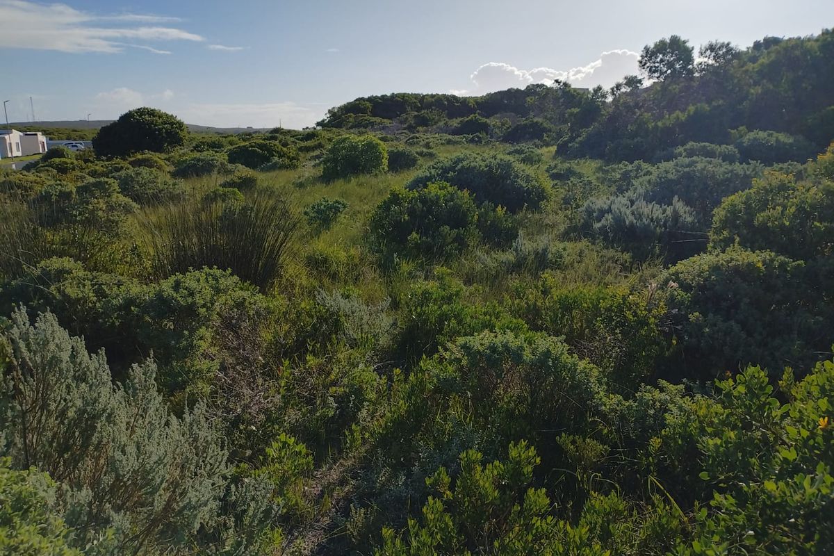 A view of a vacant residential plot featuring natural indigenous vegetation and coastal shrubbery.