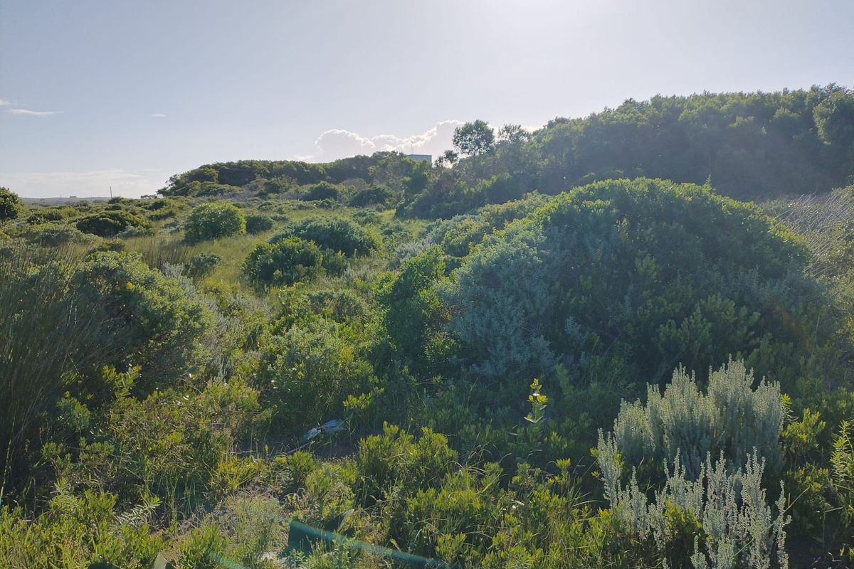 A view of a vacant residential plot featuring natural coastal vegetation and shrubbery.