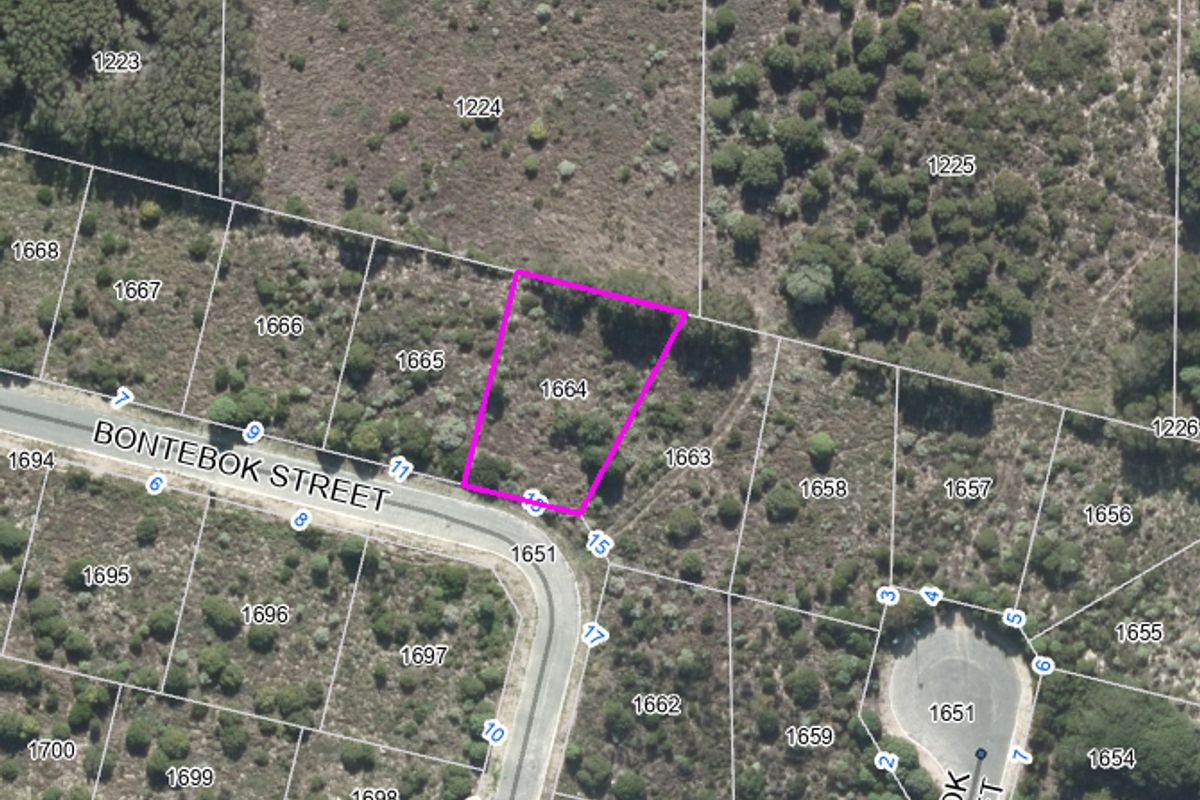 Aerial view of vacant residential plot 1664 on Bontebok Street, showing the property boundaries and surrounding natural vegetation.