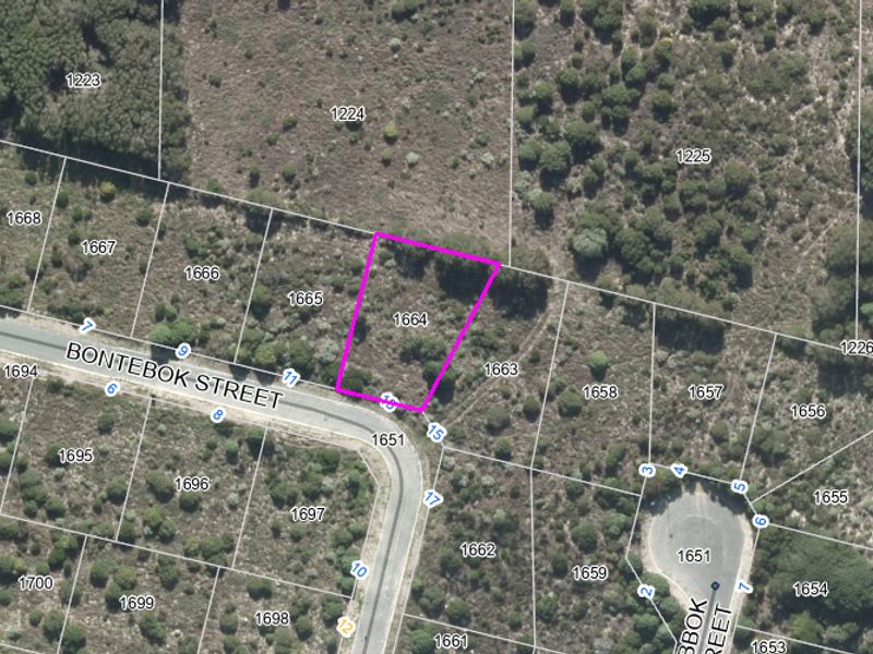 Aerial view of vacant residential plot 1664 on Bontebok Street, showing the property boundaries and surrounding natural vegetation.