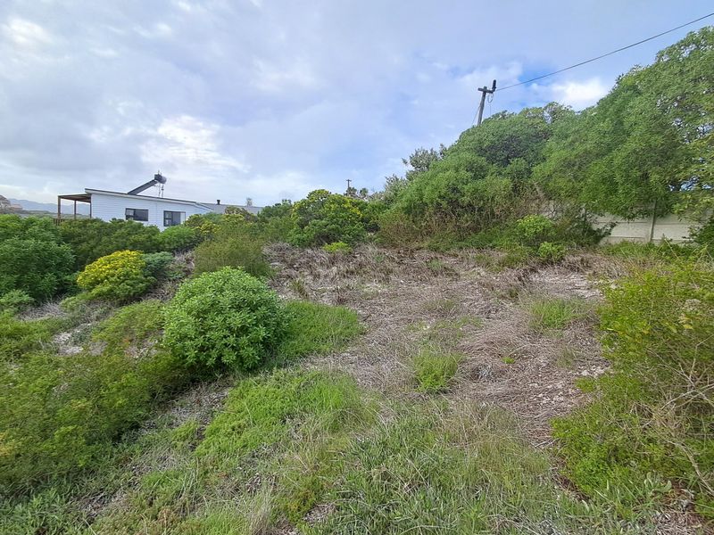 A view of a vacant residential plot featuring natural vegetation, shrubs, and a boundary wall.