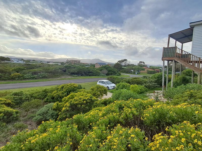 A scenic elevated view overlooking coastal landscape, native vegetation, and a residential street with a distant mountain backdrop.