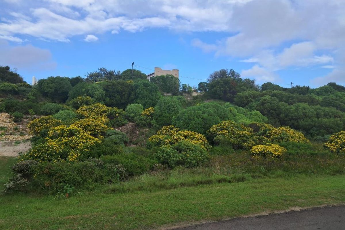 A view of a sloped residential plot featuring established indigenous vegetation and natural landscaping.