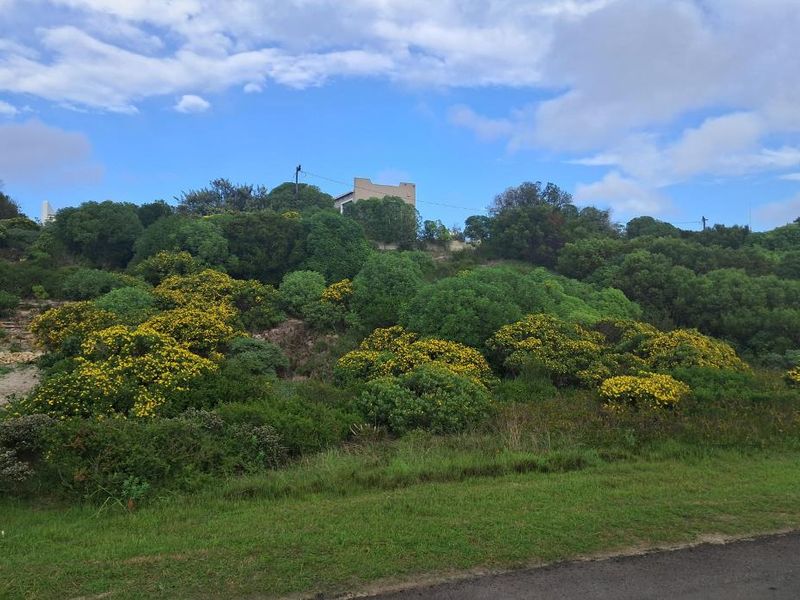 A view of a sloped residential plot featuring established indigenous vegetation and natural landscaping.