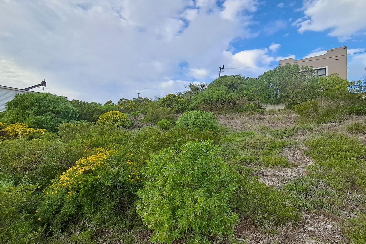 A view of a sloped, undeveloped residential plot featuring native vegetation and shrubs, with neighboring properties visible in the background.