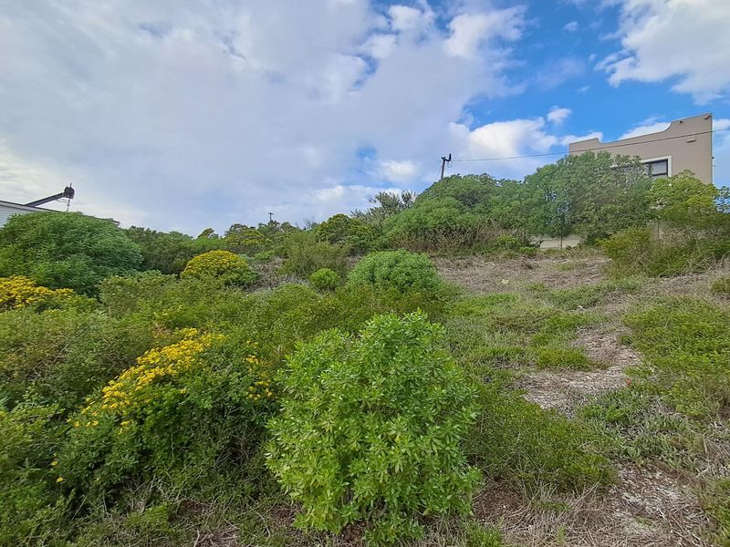 A view of a sloped, undeveloped residential plot featuring native vegetation and shrubs, with neighboring properties visible in the background.